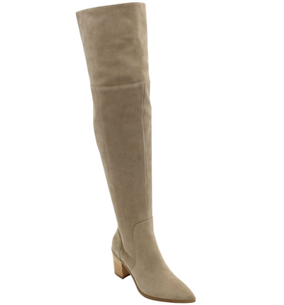 Charles David Elda Pointed Toe Over The Knee Boot In Grey
