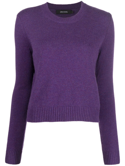 Lisa Yang Cashmere Knit Jumper In Violett