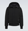 Canada Goose Chilliwack Padded Down Bomber Jacket In Black