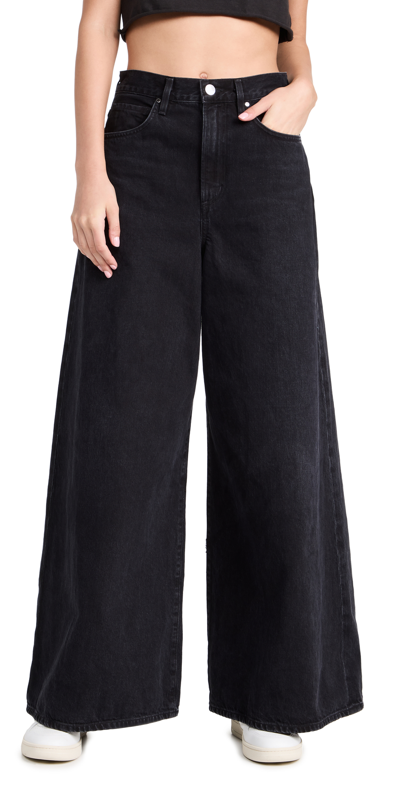 Goldsign The Gaucho High Rise Wide Jeans In Willard