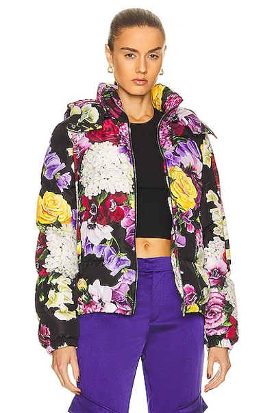 Dolce & Gabbana Printed Puffer Jacket In Multicolor