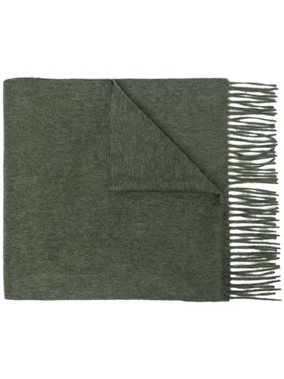 N•peal Fringed-edge Cashmere Scarf In Green