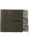 N•peal Frayed-edge Cashmere Scarf In Green