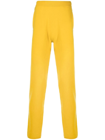 Extreme Cashmere N197 Rudolf Knitted Wide Trousers In Giallo