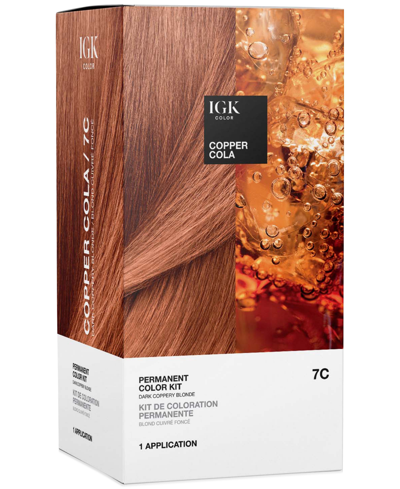 Igk Hair 6-pc. Permanent Color Set In Copper Cola