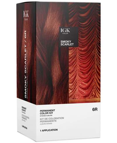 Igk Hair 6-pc. Permanent Color Set In Smoky Scarlet