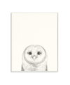 Stupell Industries Owl Portrait Gray Drawing Design Art, 13" X 19" In Multi-color