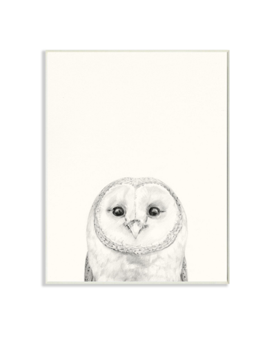 Stupell Industries Owl Portrait Gray Drawing Design Art, 13" X 19" In Multi-color