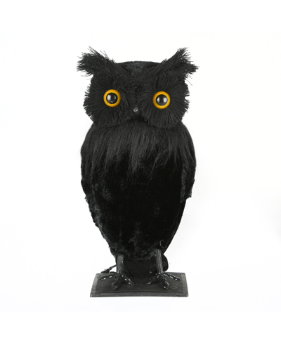 National Tree Company 11" Eerie Eyes Owl In Black