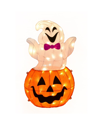 National Tree Company 24 Pre-lit Pumpkin And Ghost Outdoor Decor In White
