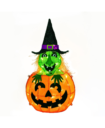 National Tree Company 28" Pre-lit Pumpkin And Witch In Orange