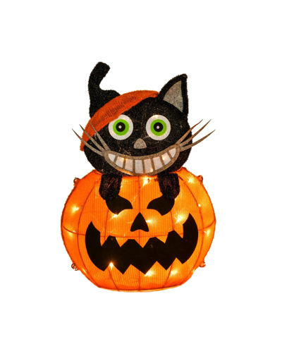 National Tree Company 23" Pre-lit Pumpkin And Cat In Orange
