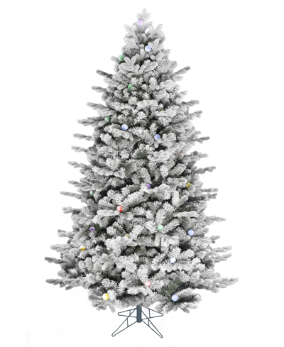 Perfect Holiday Pre-lit Large Bulb Snow Flocked Grand Noble Fir Instant Connect, 6.5" In Green