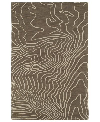Kaleen Pastiche Pas02 Area Rug, 8' X 10' In Taupe