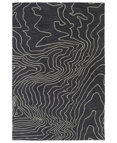 Kaleen Pastiche Pas02 Area Rug, 8' X 10' In Charcoal