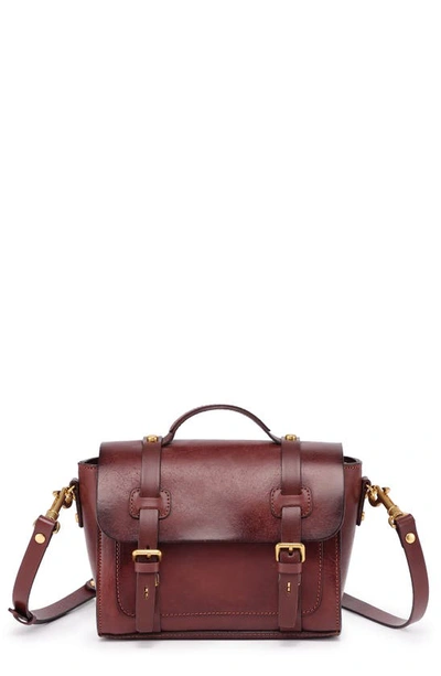 Old Trend Ficus Leather Mini Satchel In Brown
