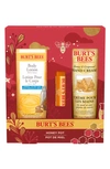 Burt's Bees Honey Pot 3-piece Set In Multi
