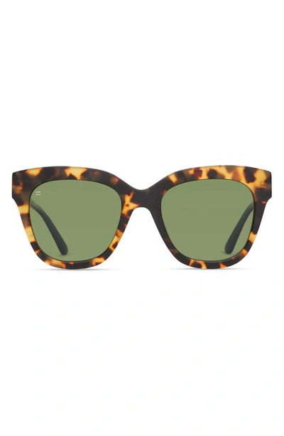 Toms Sloane 53mm Polarized Cat Eye Sunglasses In Tortoise/ Bottle Green Polar