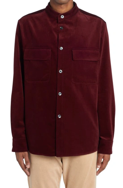Agnona Band Collar Cotton Velvet Button-up Shirt In Burgundy