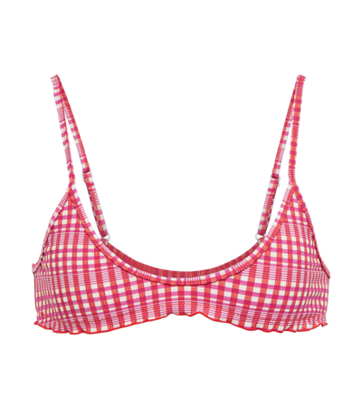 Tropic Of C Rio Bikini Top In Pink Picnic