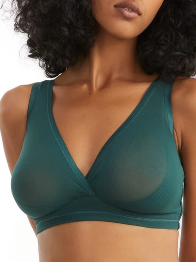 Cosabella Soire Curvy Sheer Mesh Bralette In Congo