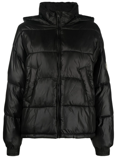 Twinset Padded Hooded Jacket In Nero