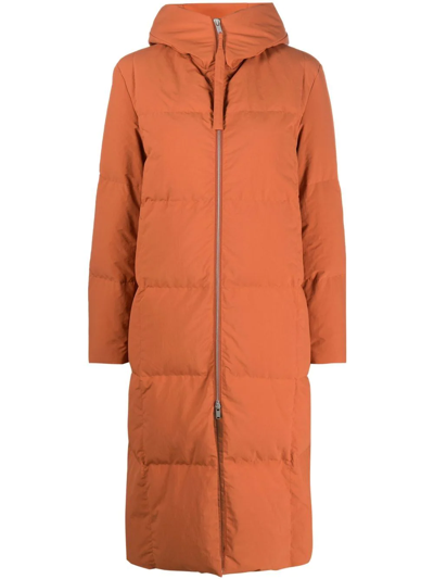 Jil Sander Hooded Padded Coat In Orange