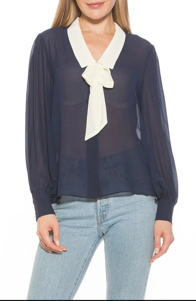 Alexia Admor Serena Long Sleeve Tie Neck Blouse In Blue