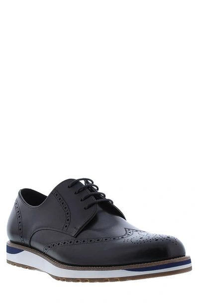 Zanzara Wilder Brogued Wingtip Derby In Black