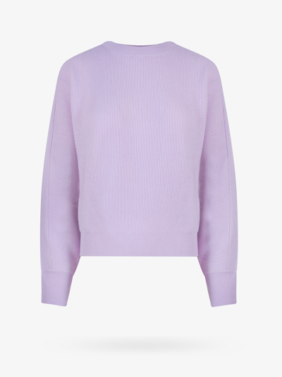 Closed Sweater In Purple