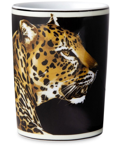Dolce & Gabbana Tiger-print Porcelain Glass In Black