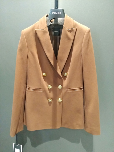 Pinko Alexia 6 Giacca In Brown