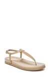 Sam Edelman Naomi Sandal In Almond