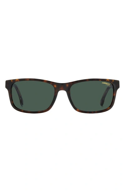 Carrera Eyewear 57mm Rectangular Sunglasses In Havana / Green