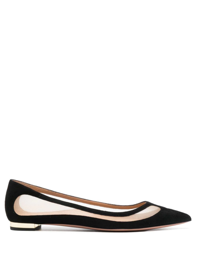 Aquazzura Amal Suede And Mesh Point-toe Flats In Black