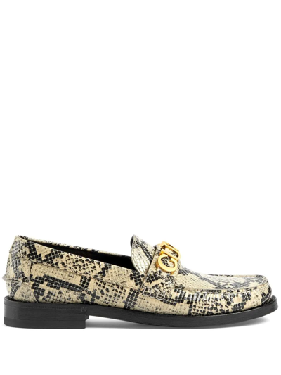 Gucci Logo Plaque Snake Print Loafers In Beige