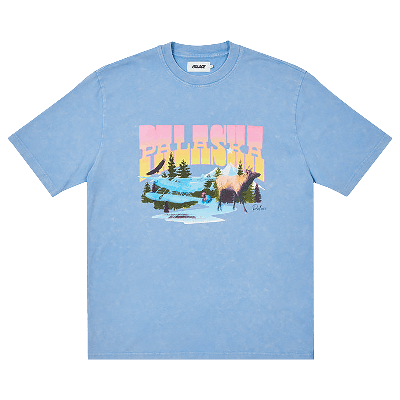Pre-owned Palace Palaska Dye T-shirt 'blue'