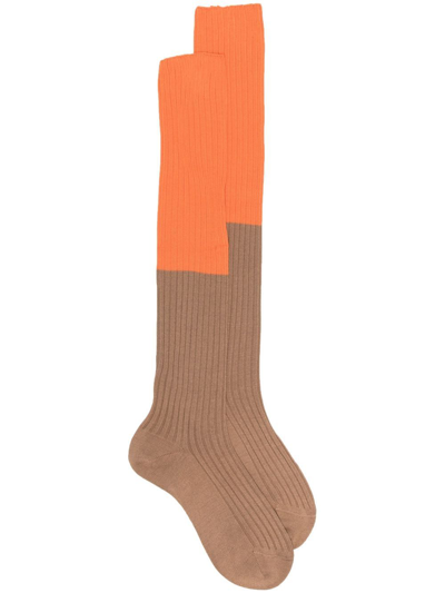 Sofie D'hoore Colour-block Knit Socks In Brown
