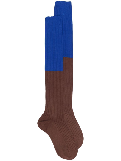 Sofie D'hoore Colour-block Knit Socks In Blue