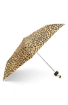 Shedrain Mini Compact Umbrella In Zion