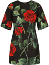 Dolce & Gabbana Cotton Blend Rose Print Short Dress