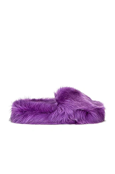 Bottega Veneta Shearling Resort Slides In Purple