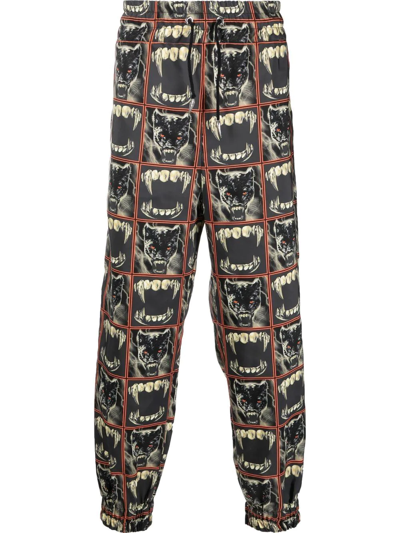Roberto Cavalli Panther Print Track Pants In Black