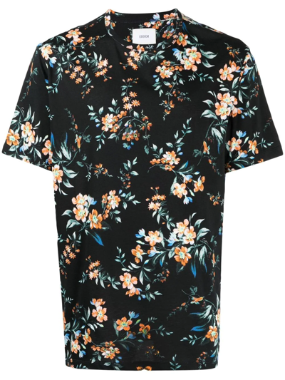 Erdem Kallmus Floral-print T-shirt In Black