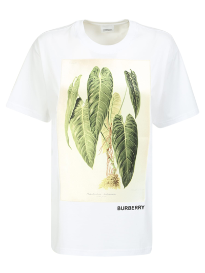 Burberry Basic T-shirt Enriched In White