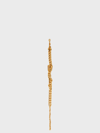 Alessandra Rich Brass Chain Link Choker In Gold
