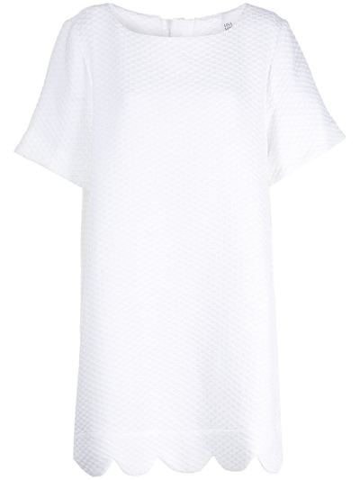 Lisa Marie Fernandez Scallop-hem Shift Mini Dress In White Honeycomb Pique