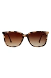 Suzy Levian 56mm Square Tortoise Shell Sunglasses In Beige