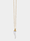 Pamela Love Stone Horn Pendant Necklace In Gold