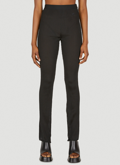 Courrèges Classic Rib Knit Flare Pants In Black
